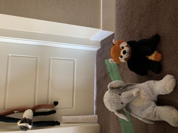 Baby E. and Chico at Brookfield Zoo