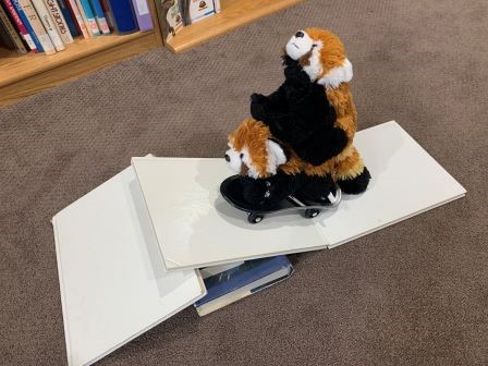 Bamboo and Colorado doing a jump