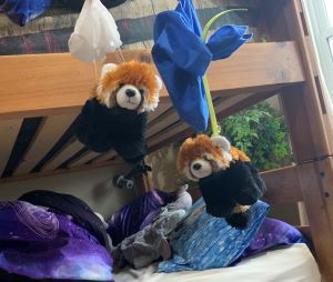 Bamboo and Colorado Parachuting