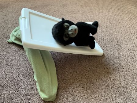 Bo sliding down a homemade slide at the Animal House.