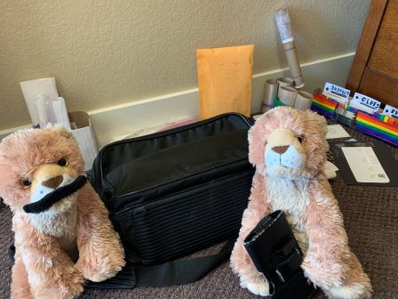 Pabu and Sabal dressed up like spies