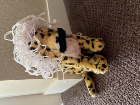 Flash dressed up as Albert Einstein!