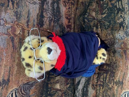 Flash dressed up as Katherine Johnson!