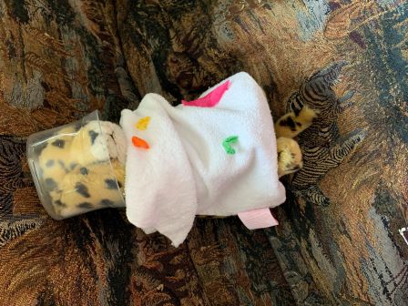 Flash dressed up as Neil Armstrong!