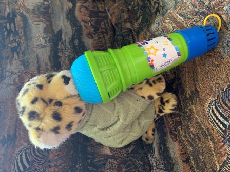 Flash dressed up as Chris Tomlin!