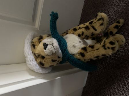 Flash in the Winter!