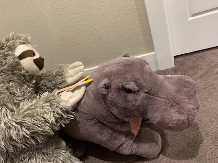 Floyd giving Barney a fur-cut!