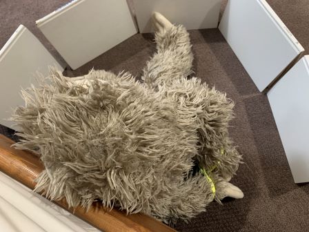 Floyd in jail feeling sad.