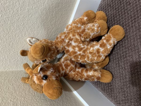 Giraffie and Giraffie