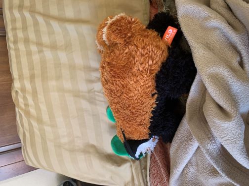 Hamlet falling asleep