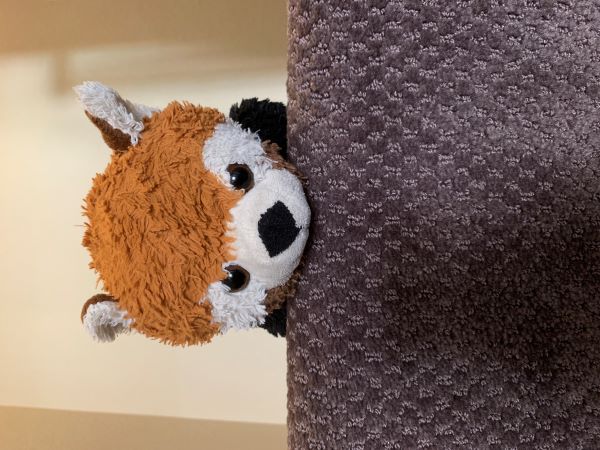 Stuffed Animal Website