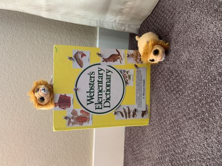 Fearless and Loyal showing their size next to a dictionary!