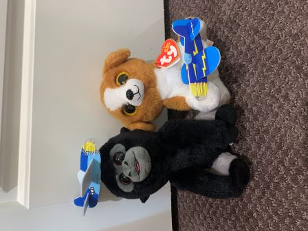 Snicky with his best friend Bo and the model airplanes they have made together.