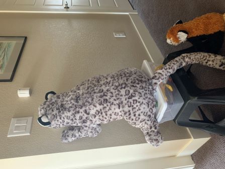 Snowy fixing a lightswitch