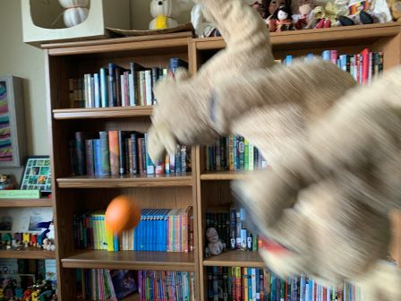 Woofs and Woofy playing fetch