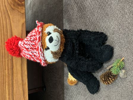 Bobby with some pinecones