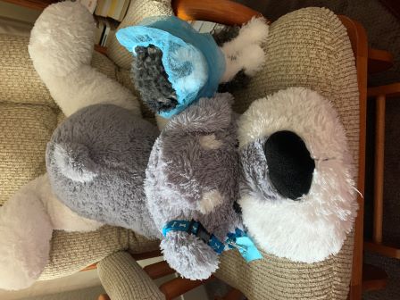 Rocky dressed like Buster Gray!